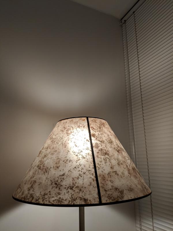 Unaltered Standing Lamp